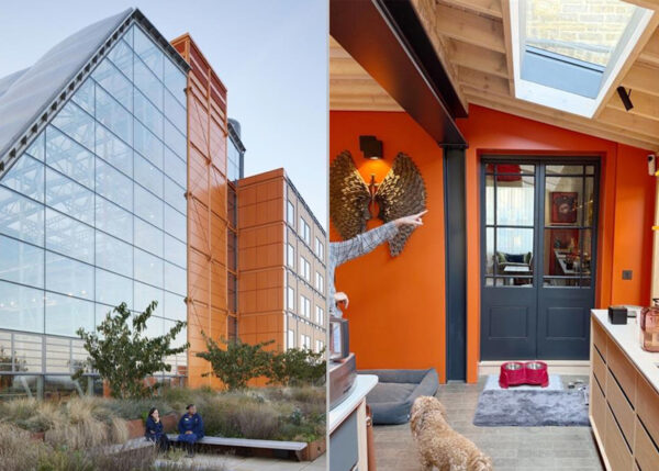 How can one studio design both hospitals and private homes?